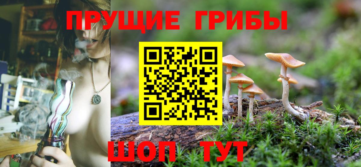 Краснотурьинск  Галлюциногенные грибы Psilocybine cubensis  Вход с VPN 