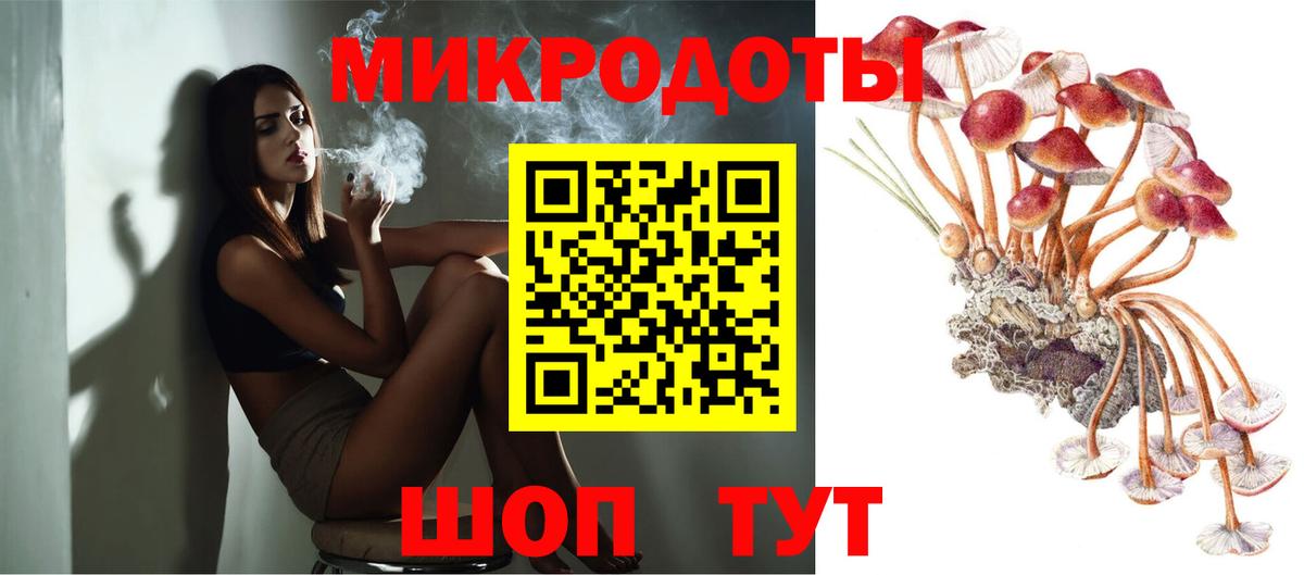 Псилоцибиновые грибы Psilocybe Краснотурьинск